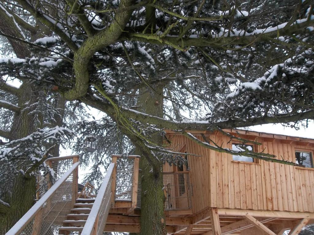 Bed and Breakfast Domaine Des Grands Cedres Cordelle Номер фото