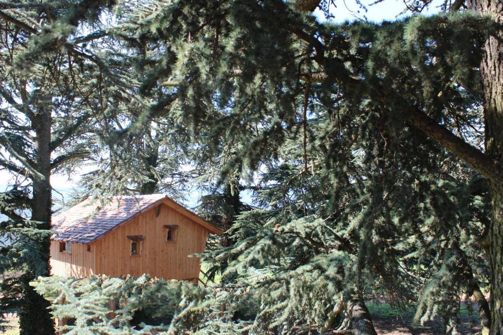 Bed and Breakfast Domaine Des Grands Cedres Cordelle Номер фото