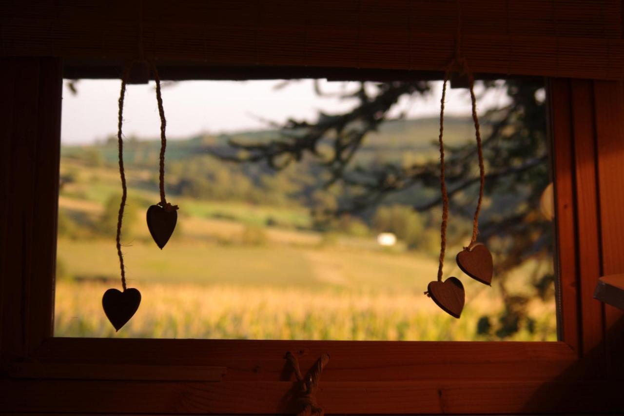 Bed and Breakfast Domaine Des Grands Cedres Cordelle Номер фото
