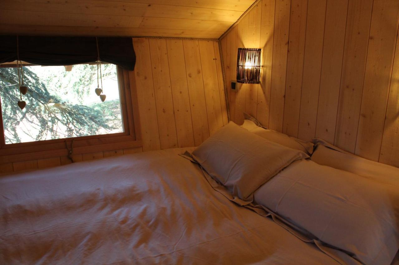 Bed and Breakfast Domaine Des Grands Cedres Cordelle Номер фото